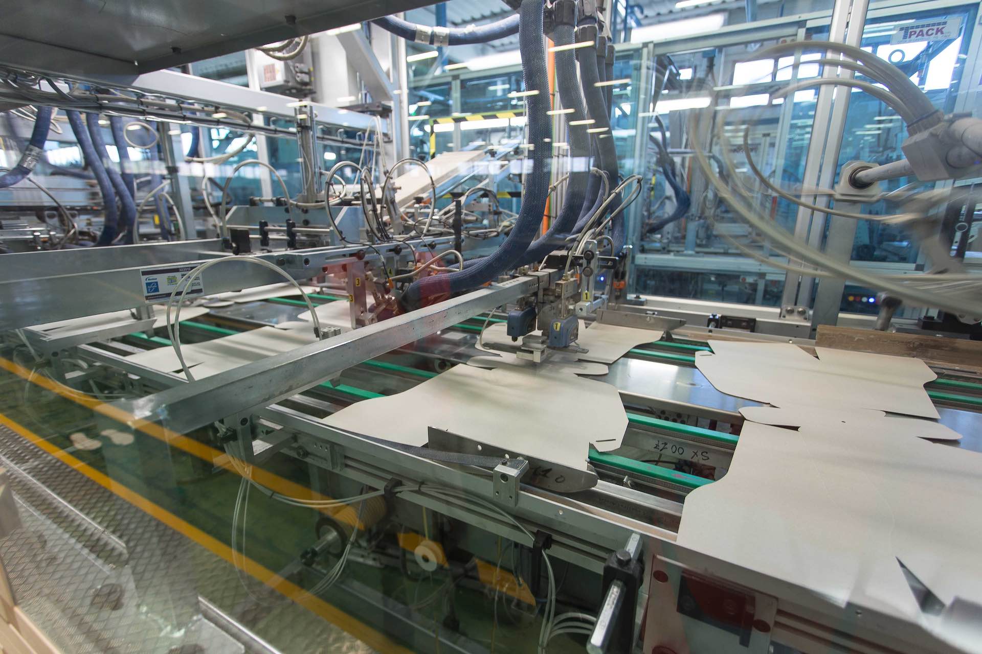 Clean and fresh apples on conveyor belt smeup soluzioni settore carta